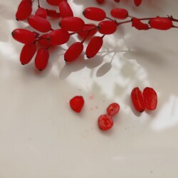 IMG_20251026_142642c35c62872fd4618c