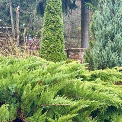 IMG_0922417fa072432c5e94