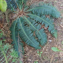 IMG-20251004-WA0003ae8048e10f0461db