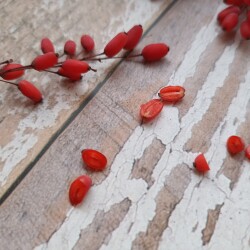 IMG_20251108_1211148420c72ae85bf1ca