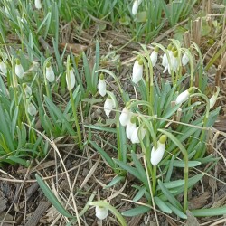 IMG_20250321_094035d4b4932cbfdcd0eb