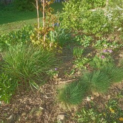 IMG_20250503_1801026ebe4802673ee21c