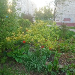 IMG_20250514_1940505ef24334bea465e0