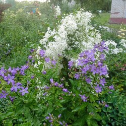 IMG_20250620_195700f879438289f80bef