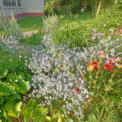 IMG_20250718_18582333407bd69b6f45df