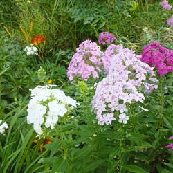 IMG_20250731_151657448b20b2f85b3229