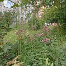 IMG_20250825_154407b8926c6fb8a05f6f