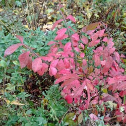 IMG_20251021_120949abbdf9371918617c