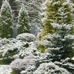 IMG_098888af76b3cb18d4af