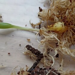 IMG_20251130_1027521af0f0dc16ed661c