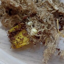 IMG_20251130_1029442e5570c8fc9831a7