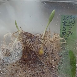 IMG_20251130_103052f1319fc478435fbc