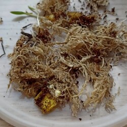 IMG_20251130_103157aba9cce525b2b182