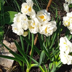 Churchill-2-may-256b9c31f870b86ba8