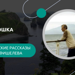 Igor_Fishelev_koryushkafe0729d9461c772f