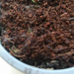 IMG_20251228_12034037d86225dad86d23