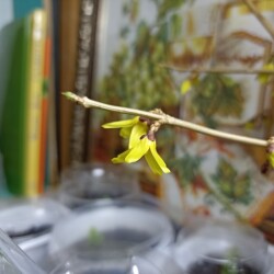 IMG_20251230_1045346f5b608e2e4cdc01