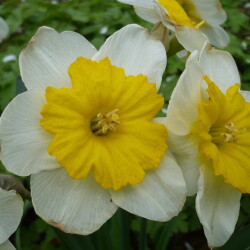 P11005415515c59698afa8b5