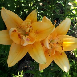 Ak4Zvm2cI8MJYviPo30oHKzmAzaTcinmIdvpLyb0r9Wq9aNGoZ6rr2abUnA8QrC2vRwJqLWPa50d3136a7cb9d7a