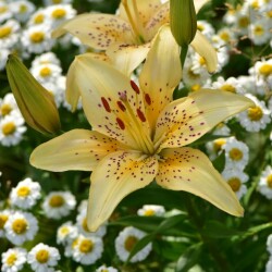 GSSJ0dGjTCcfl4pjIU_wdmAtHB-HkewUWllpSE8nSbFVjN5wb-rtCWEPD40_dPQus90gBX_TvPOgUlCRmGLyzfZyc399d2098ae4206b