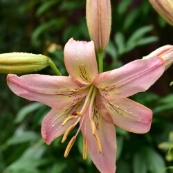 OsejD5cax5-N3__LIqqDyB0ToMecWix1T6AoOxMneFC8PsHFPqi80jM8eY2xU6EUKU8uzxRw9nXiD89smVvelLly24647d9d7021c427