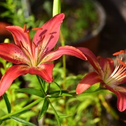 9tUU4YlOsjj-x-BiqUamtQNrkwK3eFZOnObC-qAzaDEOoCL5agzy-SaCo6nkExteambuMi5lrgy9TisundoB8UU4dc0234420d85c887