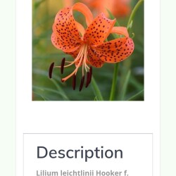 IMG_20260114_100043a9e131f1968717bc