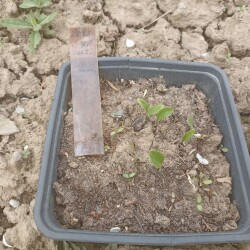 IMG_20250430_121853985814551005b69f