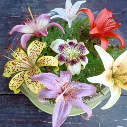 IMG_20250726_094506a1fc2b678cd019cd