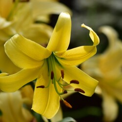 7zjO-SHomYLSJSf0gu4SCqBNq9Tu3HY0YFFKUHljs_0QXqd4TYlWtfRGSQyq5KB-TzvPLvQIQB7TfZ7vQwBrLx-U88911e3e0d74e9c9