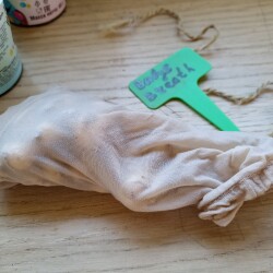 IMG_20250806_115419ee8c7a25974e62e2