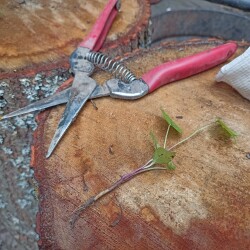 IMG_20250809_1126519c3297c494cc47d4