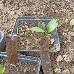 IMG_20250826_124152069d656cd873aeea