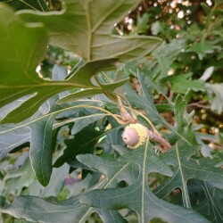 IMG_20250827_193001c64a047a500cab33