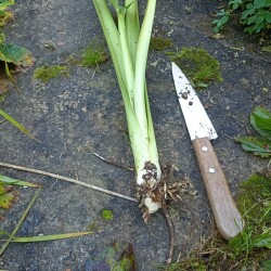 IMG_20250901_08565534de7b461d8de418