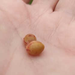 IMG_20250904_080641K7d35e05068f78c75