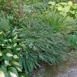 IMG_20250905_115453188c61b8469a2214