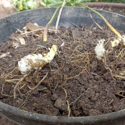 IMG_20250905_153447b18f07946cdda67c