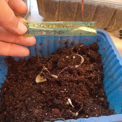 IMG_20250909_174909f6e49567ffe75856