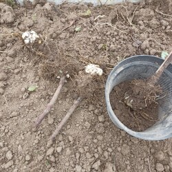 IMG_20250927_1255510ee35ebf2b2c42f9