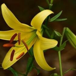 RgDfZ2pubHawsNsBNQEvWPsJIlv_yjP58gAX6RFtteFte7KOrwhM4h032PdPk785xULptZoN_tFrBdWR8AjTYLf3aac22cab88e53602