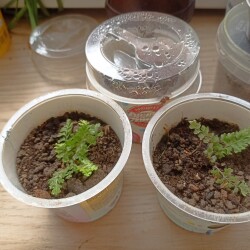 IMG_20250620_150541c4a40219c8589f76