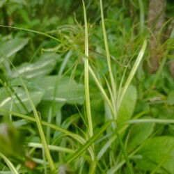 IMG_20250622_181245512f8a4e1bc383f7