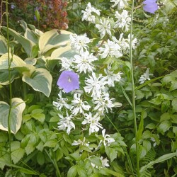 IMG_20250628_1135554fe36e42d70a353a