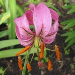 2abb46e47974f19484c537d214c04e89f65b1b8afe05d0d1