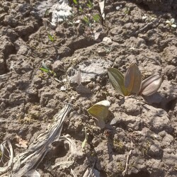 IMG_20250416_122629757a010671d21e7d