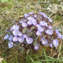 IMG_20250422_093326043bdf0dc22c347f