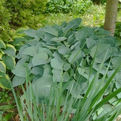 IMG_20250531_115826bb58a162b836fe21