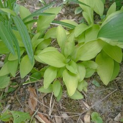 IMG_20250531_120942fb6f88d40ce6aa37