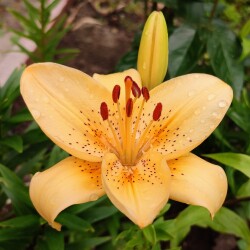 9iyAFZ1Db4-Tv7B_ObbfRquEZXARGZyEiHkQyv-L5doHP8xc7p_ODelxh1DsVMznx0Rrs28oAXi6ROZPCUl_Q57y91e6615c6be5c3a5